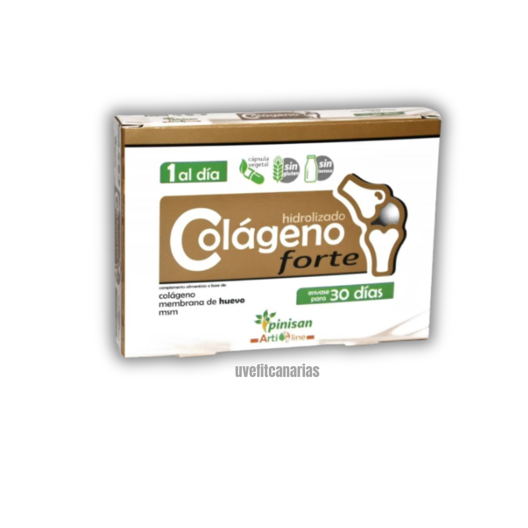 Colágeno Hidrolizado Forte, 30 comprimidos - Pinisan