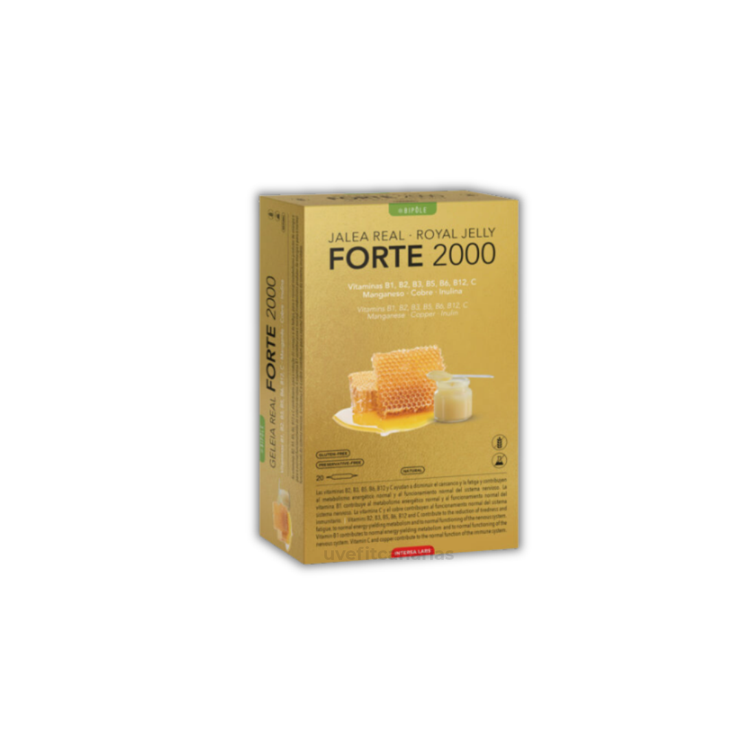 Jalea Real, Forte 2000, 20 ampollas - IntersaLabs