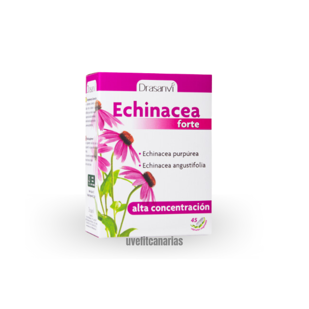Echinácea forte, 45 cap - Drasanvi