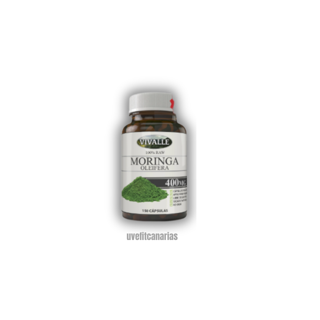 Moringa 360mg, 250comprimidos - Vivalle