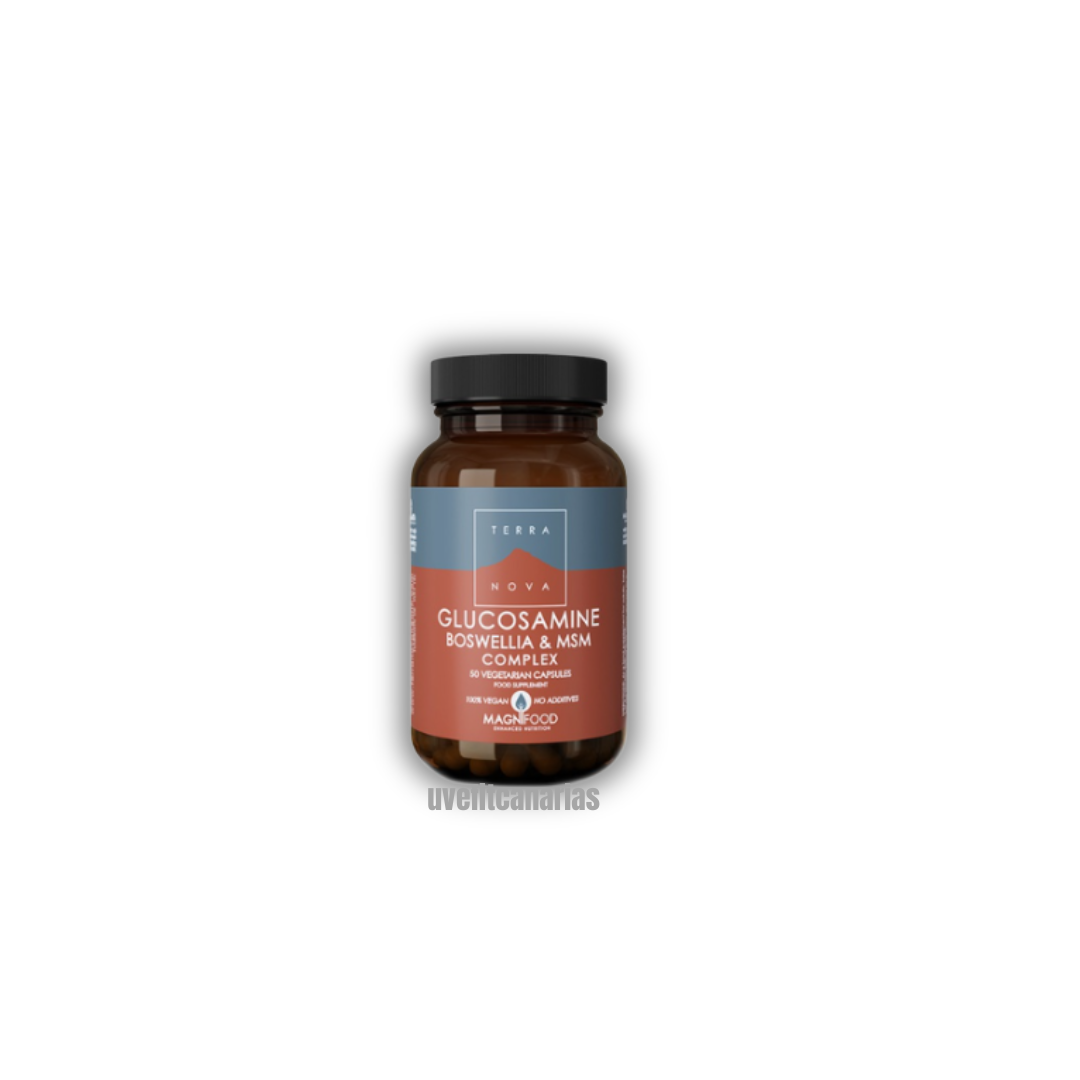 Glucosamine, boswella & MSN complex, 50 cap - Terra Nova