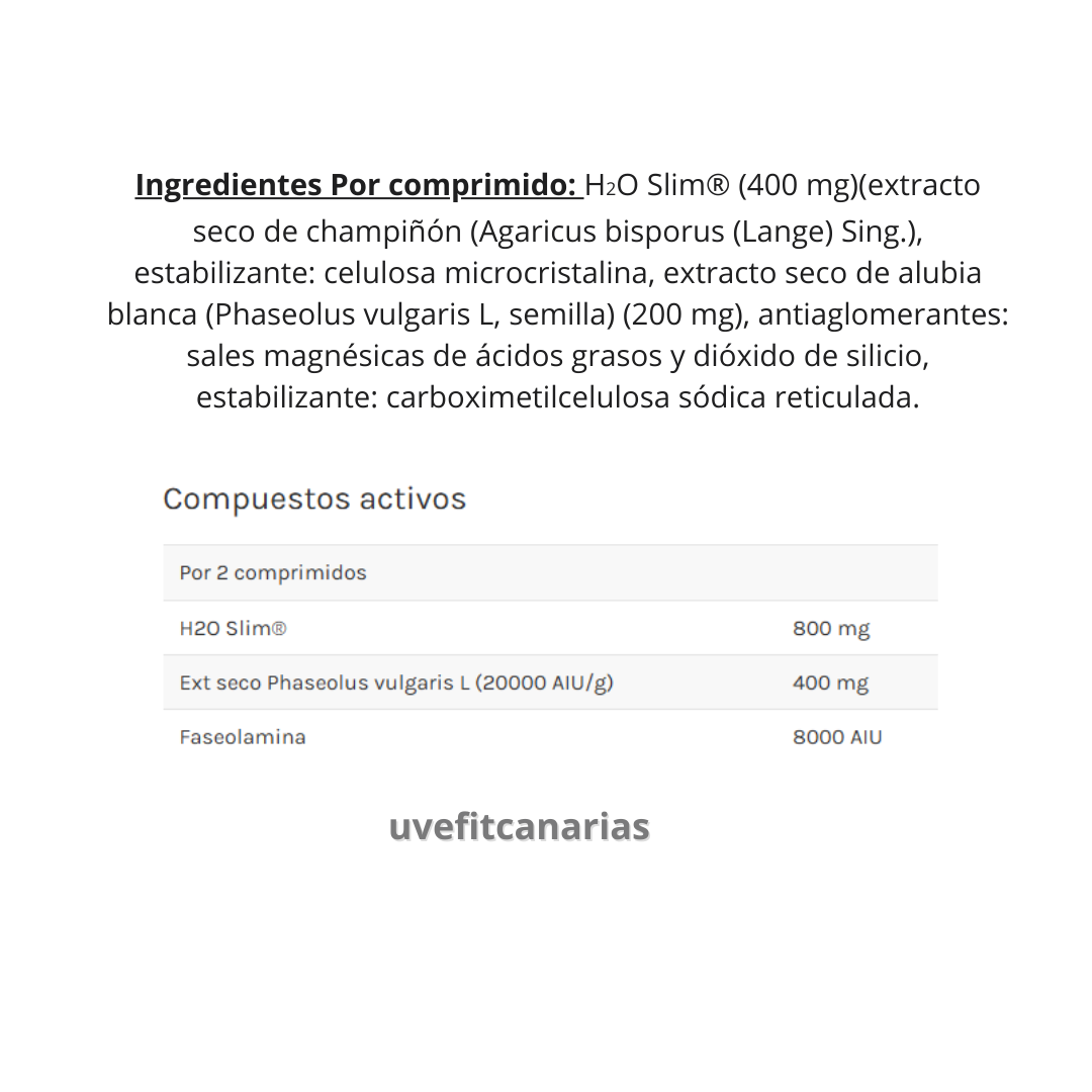 Calory Brake, 24comp - Soria Natural