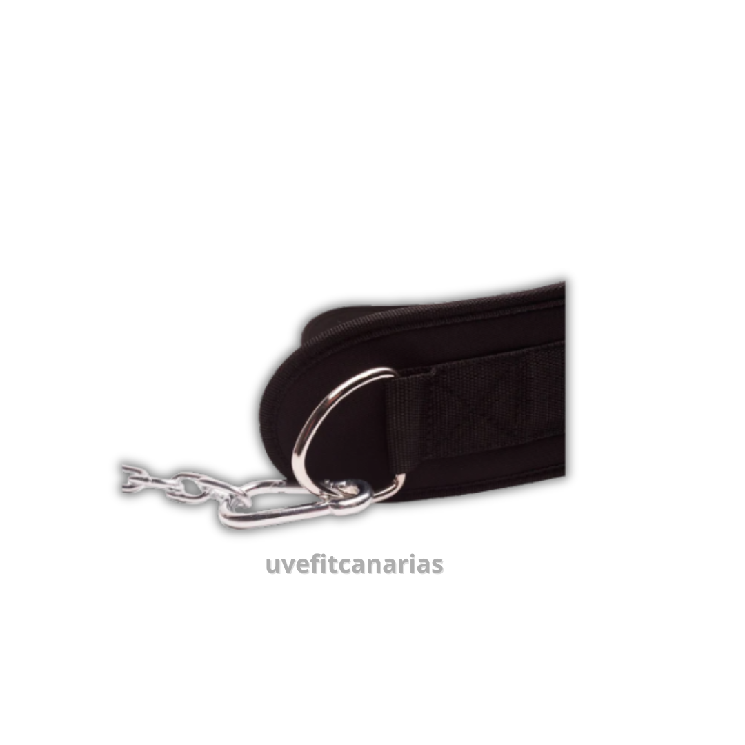 Cinturón Lumbar DIP BLET, Talla única, Negro - Quamtrax