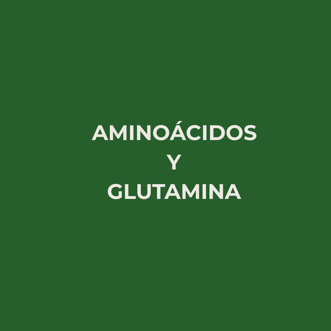 Aminoácidos y glutamina