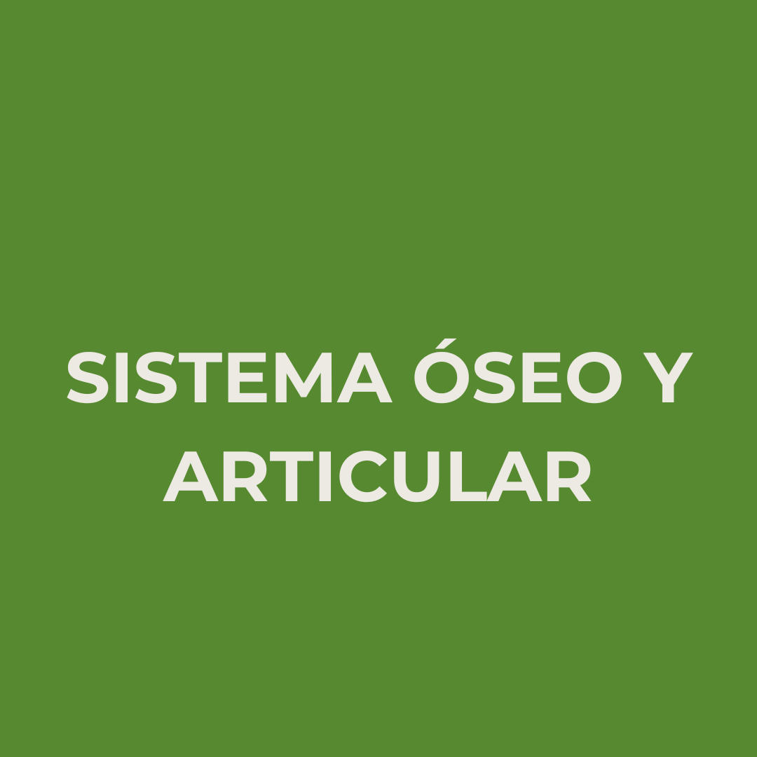 Sistema óseo y articular