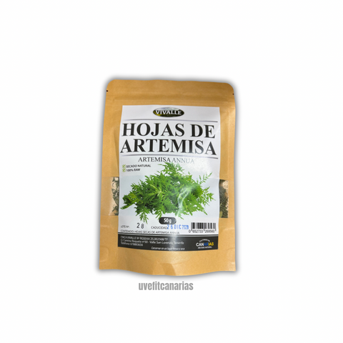 Hojas de Artemisa Annua, 50gr - Vivalle