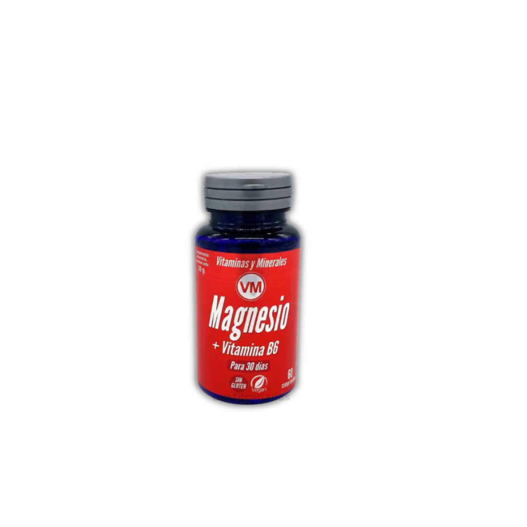 Magnesio + Vitamina B6, 60 comprimidos - Ynsadiet