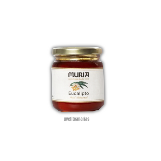 Miel Eucalipto, 250gr - Muria