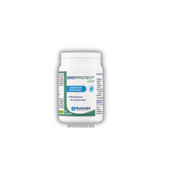 Ergyprotect Conf, 60cap - Nutergia
