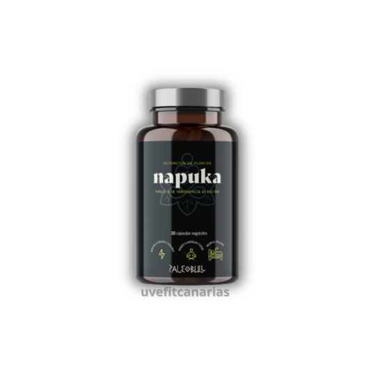 Napuka, 30cap - Paleobull