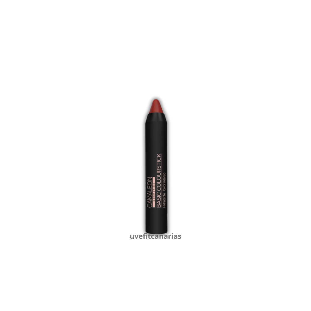 Pintalabios Nude Terra B07 Basic Colourstick - Camaleon