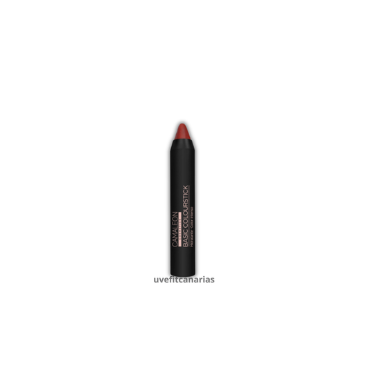Pintalabios Nude Terra Basic Colourstick - Camaleon