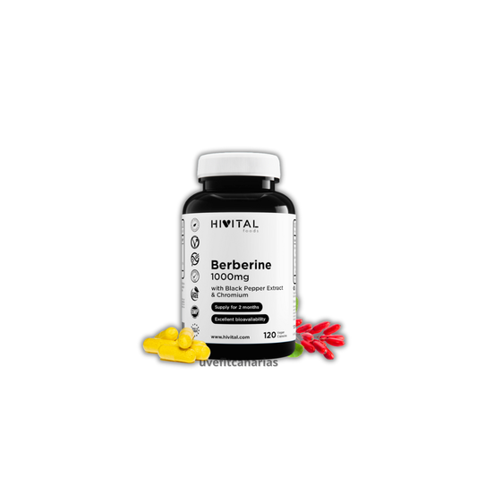 Berberina 100mg, 120cap - Hivital